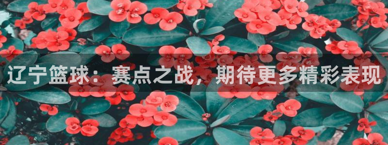辽宁篮球：赛点之战，期待更多精彩表现