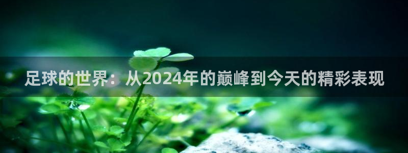 足球的世界：从2024年的巅峰到今天的精彩表现
