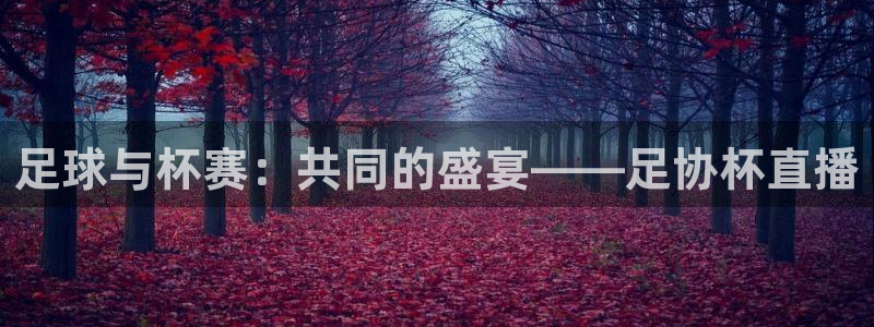 足球与杯赛：共同的盛宴——足协杯直播