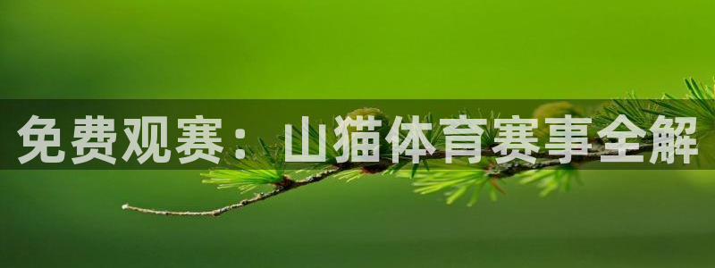 免费观赛：山猫体育赛事全解