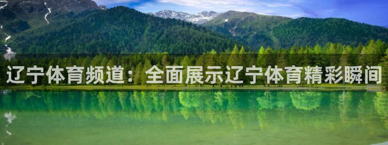 辽宁体育频道：全面展示辽宁体育精彩瞬间