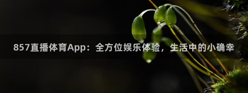 857直播体育App：全方位娱乐体验，生活中的小确幸