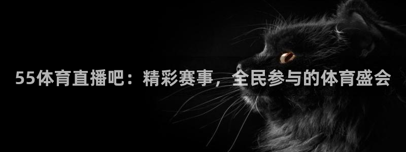 55体育直播吧：精彩赛事，全民参与的体育盛会