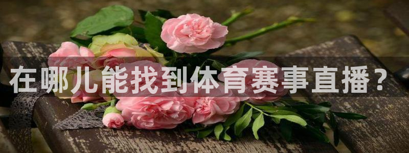 在哪儿能找到体育赛事直播？