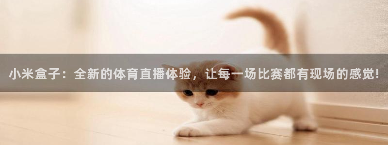 小米盒子：全新的体育直播体验，让每一场比赛都有现场的感觉!